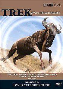 Watch Trek: Spy on the Wildebeest