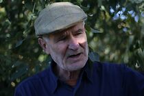 Watch The Tale of Sir Richard (Short 2006)