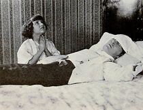 Watch The Little Diplomat