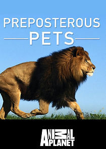 Watch Preposterous Pets