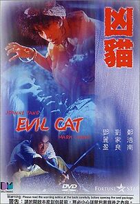 Watch Evil Cat