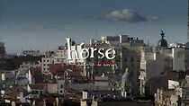 Watch Horse: A Love Story (Short 2012)