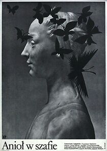 Watch Angel in the Wardrobe