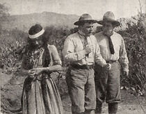 Watch The Chief's Daughter (Short 1911)