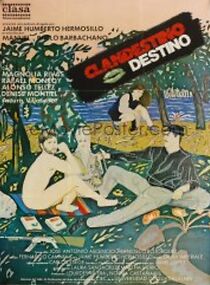 Watch Clandestino destino