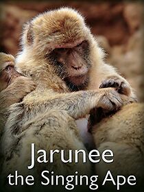 Watch Jarunee the Singing Ape