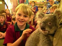 Watch Yindi the Last Koala