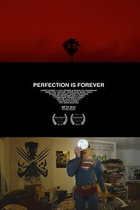 Watch Perfection Is Forever (Short 2015)