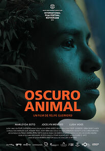 Watch Oscuro animal