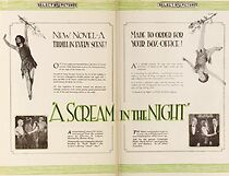 Watch A Scream in the Night