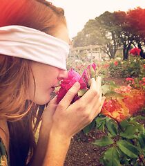 Watch The Handkerchief (Short 2014)