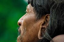 Watch Waorani: Last of the Rain Forest People (Short 2005)