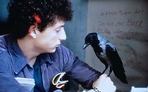 Watch Das Schweigen des Dichters