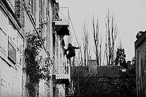 Watch The Vampires: The Terrible Wedding