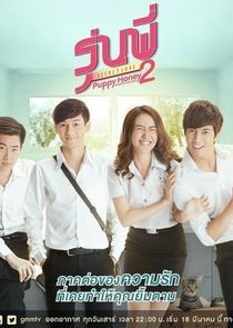 Watch Senior Secret Love: Puppy Honey