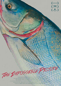 Watch The Impossible Picture