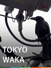 Watch Tokyo Waka