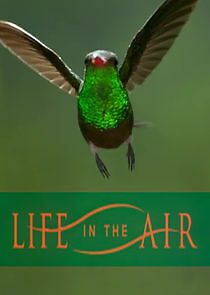 Watch Life in the Air