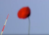 Watch Non c'è vento da perdere