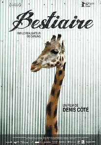 Watch Bestiaire