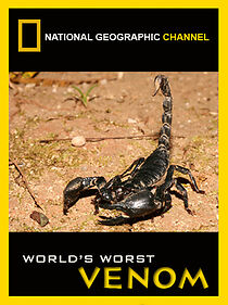 Watch World's Worst Venom