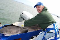 Watch Steve Shirley Shark Tagger (Short 2015)