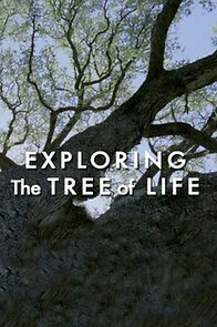 Watch Exploring 'the Tree of Life'
