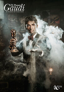 Watch IX Premis Gaudí de l'Acadèmia del Cinema Català (TV Special 2017)