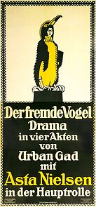 Watch Der fremde Vogel