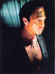 Watch The Age of Insects