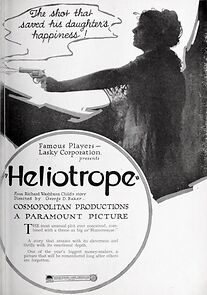 Watch Heliotrope