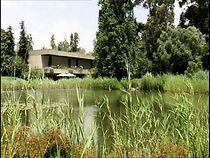 Watch Fundação Calouste Gulbenkian