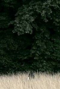 Watch Les grandes forêts (Short 2009)