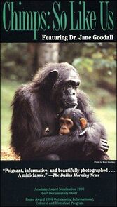 Watch Chimps: So Like Us (Short 1990)