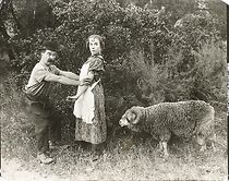 Watch It's a Boy (Short 1920)