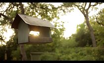 Watch The Wooden Birds: Criminals Win (Short 2011)