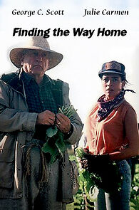 Watch Finding the Way Home