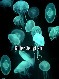 Watch Killer Jellyfish