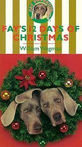 Watch Fay's 12 Days of Christmas