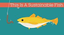 Watch This Is A Sustainable Fish (Short 2014)