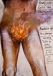 Watch Kawalerskie zycie na obczyznie