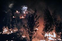 Watch Angesichts der Wälder