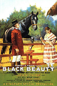 Watch Black Beauty