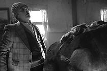 Watch À bout de truffe (Short 2007)