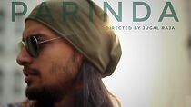 Watch Parinda By Rio: Music Video (Short 2016)