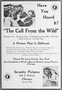 Watch Call from the Wild