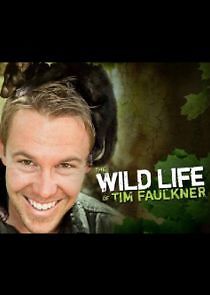 Watch The Wild Life of Tim Faulkner