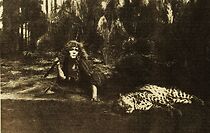 Watch Lost in the Jungle (Short 1911)