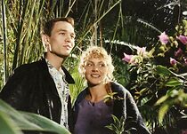 Watch Wynajme pokój