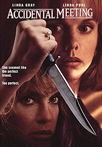 Watch Accidental Meeting